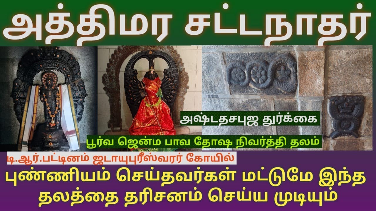 டி.ஆர்.பட்டினம் ஜடாயுபுரீஸ்வரர் கோயில் | அத்திமர சட்டநாதர் | பூர்வ ஜென்ம பாவ தோஷ நிவர்த்தி தலம்