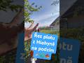 Ořez živého plotu z Hlohyně #zahrada