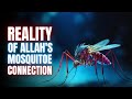 Revealed: The Terrifying Reality of Allah