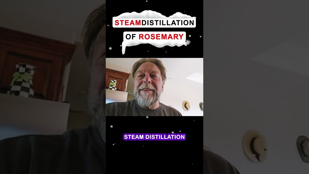 Rosemary, Big WOW ❗❗❗