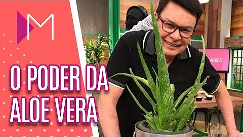 Como devo usar babosa?