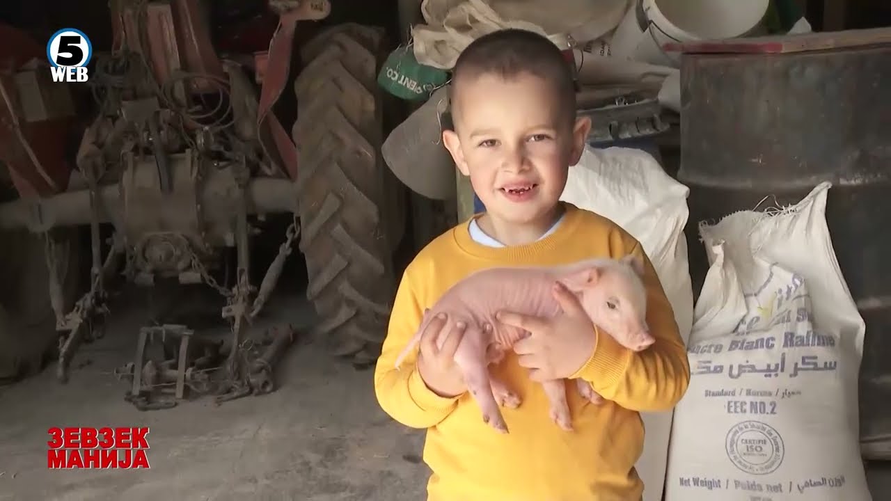 Зевзекманија  Богдановци имаат од пиле млеко