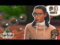 🍄‍🟫New Loves &amp; Bugs! 🍄‍🟫 [Sims 4] Very Veggie Legacy by LilSimsie - Mushroom {Gen 9} - Episode 3