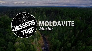 MOLDAVITE - Mushu