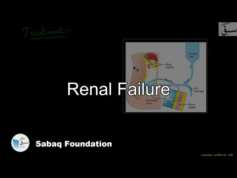 Kidney (Renal) Failure, Dialysis, Biology Lecture | Sabaq.pk |