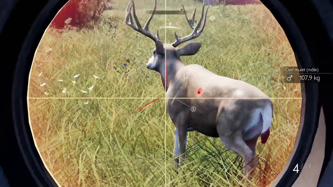 Hunting ps4. Hunting Simulator на PS. Игры про охоту для ps4. Pro Deer Hunting 2. PS 2 охота.