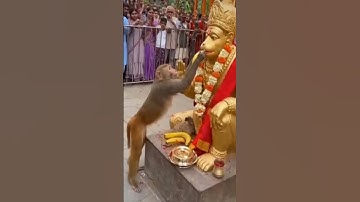 पवनपुत्र 🚩 #hanuman