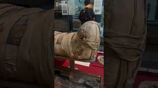 Celebrity Cleopatra || Mummy of a young woman. #histera #ancient #history #ancienthistory #egyptian #egypt Wealth