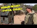 Новый проект "ГОРОД СОБАК"   Приют для животных "ВЕРНОСТЬ" г. Смоленск