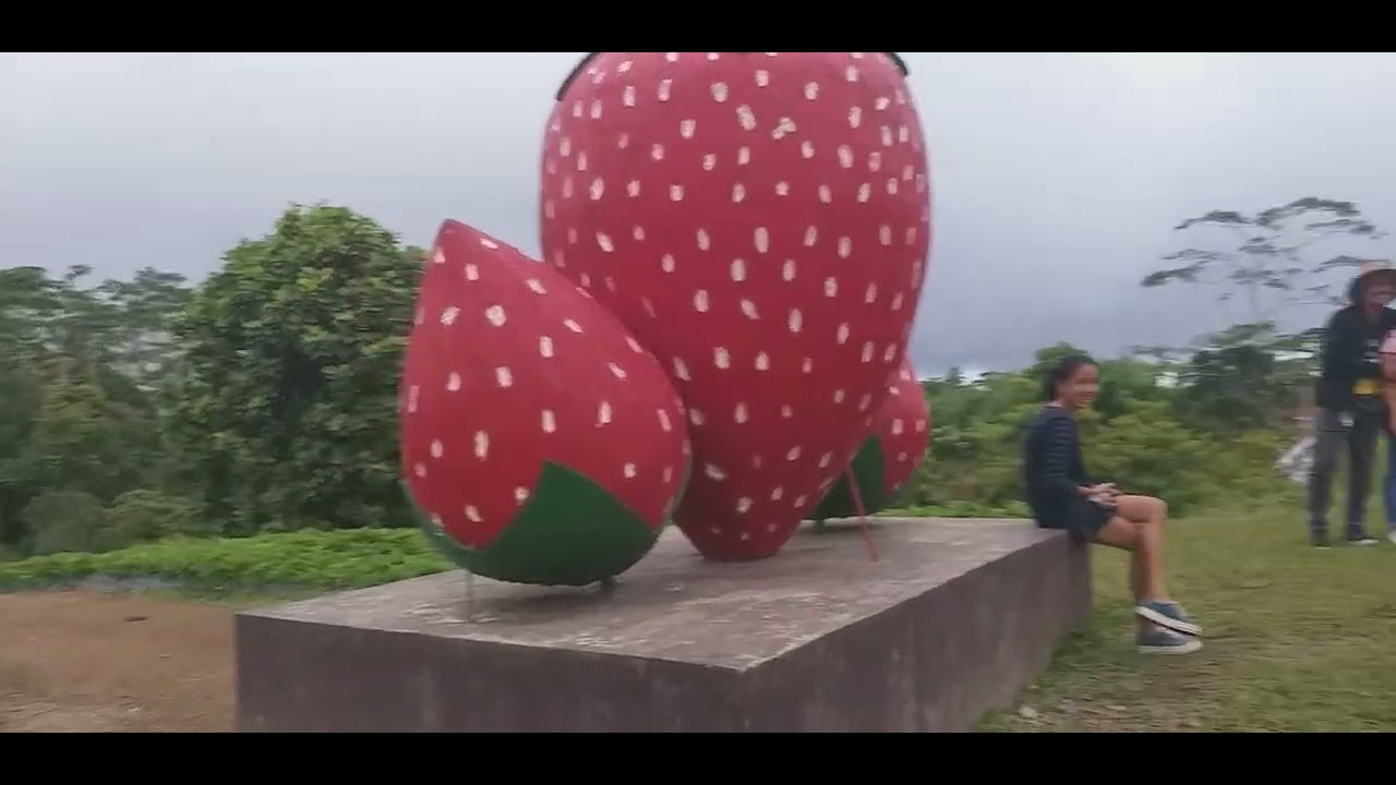 Zamboanga del Norte, strawberry field in the mountains of Sergio Osmeña