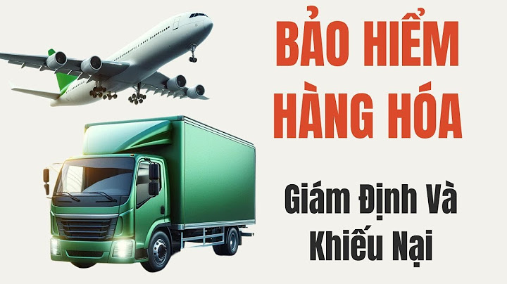 Giám định bồi thường bảo hiểm hàng hóa năm 2024