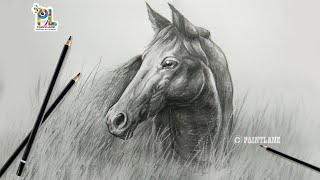 How to draw a horse with pencil || Pencil sketching and shading || PAINTLANE