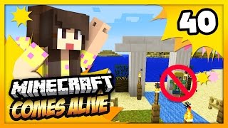 CANCEL THE WEDDING! - Minecraft Comes Alive 4 - EP 40 (Minecraft Roleplay)