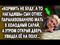 Шокирующие Слова Сына // История Про Благородную Женщину // Правда Жизни