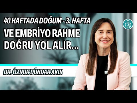 Hamileliğin 3. haftası — video