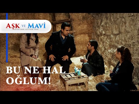 Mavi ve Ali, Pembe'leri ziyarete gitti - Aşk ve Mavi 24. Bölüm