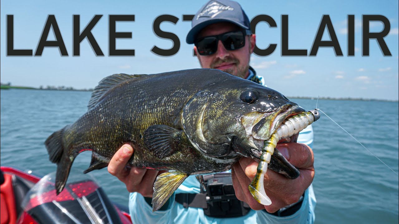His BIGGEST Lake St Clair Smallmouth Bass EVER – Fishing Swimbaits