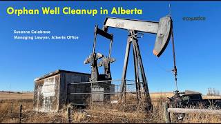 Orphan Wells 101: Explaining Alberta's Multi-Billion-Dollar Cleanup Crisis And How To Fix It