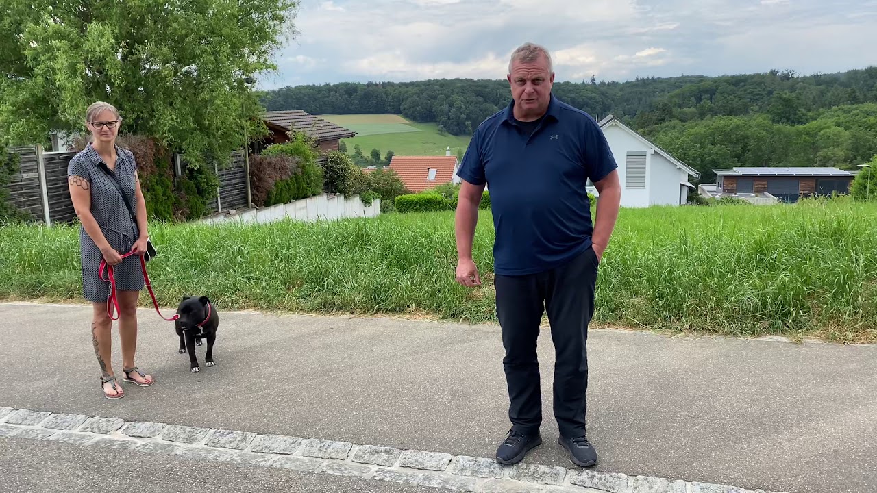 Gangbildveränderungen  bei komprimierender Wirbelsäulenerkrankung der cranialen Halswirbelsäule