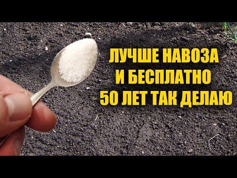 1 Ложка на Ведро Воды и Земля Как Новая! Пролейте этим землю для обильного урожая всего!