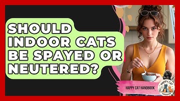 Should Indoor Cats Be Spayed Or Neutered? - Happy Cat Handbook