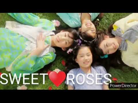天才てれびくんMAX 天てれ『SWEET♥ROSES』フル