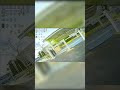 First Air 65 #betafpv #ethix #tinywhoop #fpv