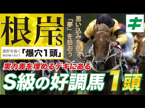 根岸ステークス 2023【予想】S級の仕上がりだ！人気サイド＆爆穴から一頭ずつ「好調教馬」を指名！