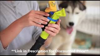 dog brush vacuum attachment