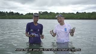 Undps Blue Economy Project Bahari Maisha