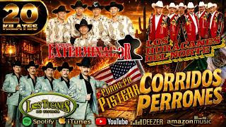 Narco Corridos Para Pistear ? Los Tucanes, Huracanes y Exterminador