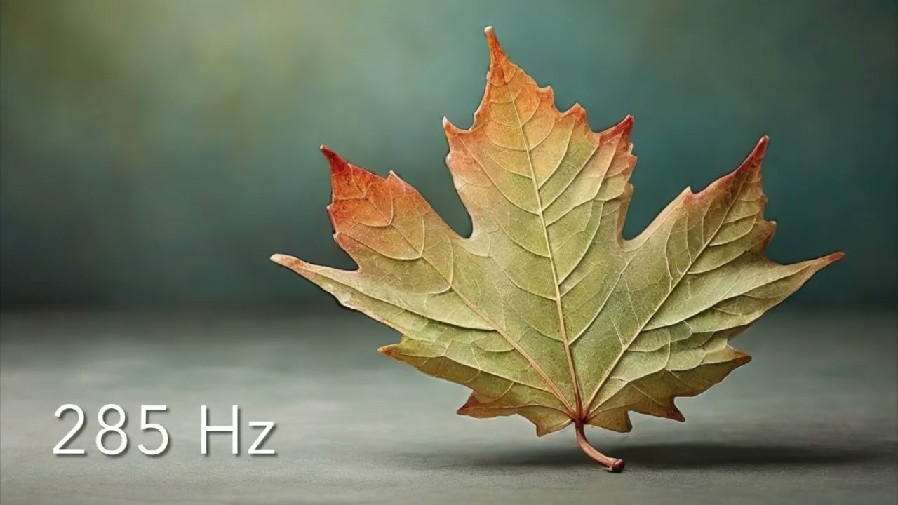 285 Hz Solfeggio / Promote Healing & Tissue Regeneration 