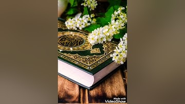 الشيخ توفيق المصعلي تجميع تلاوات عذبه ومنوعه ومختاره ومميزه
