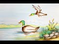 How to draw Duck scenery in easy steps || Pencil colouring || Guide for Beginners.