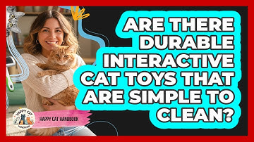 Are There Durable Interactive Cat Toys That Are Simple To Clean? - Happy Cat Handbook