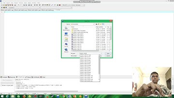 PROGRAMMING FUNDAMENTAL LAB 5: FUNCTION AND ARRAY
