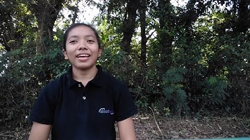 Ways to be better Cyber Citizen Prof. Ed 104