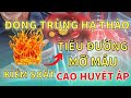 Tiểu Đường, Mỡ Máu, Cao Huyết Áp có uống được Đông Trùng Hạ Thảo không? Hotline tư vấn: 0911.6868.24