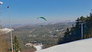 Dzikowiec 16.03.2025