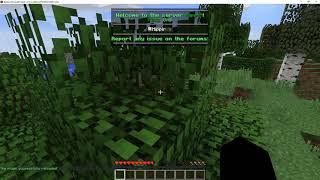 Minecraft Tutorial | how to setup MOTD   Tablist   More Permissions