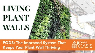 Pod Living Wall System Vs Standard Tray System - Live Walls - Green Oasis