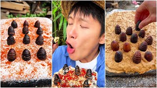 Do you dare to eat silkworm chrysalis? | Chinese Mountain Forest Life and Food #Moo Tik Tok#FYP