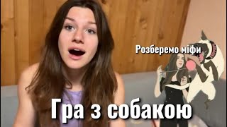 картинка: Чи можна грати з собакою? 
