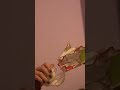 BERRY NO!! #funny #artcommunity #artprocess #art #artist #artistsonyoutube #artvideo #beginnerart