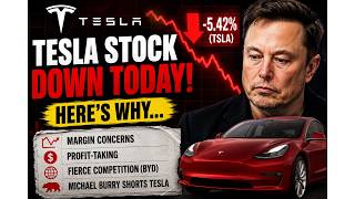 Tesla Stock Is Falling — 4 Reasons Every Investor Should Know