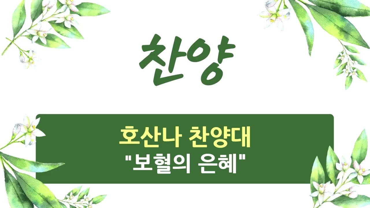 2026. 3. 8 / 성지교회 주일 찬양 / 호산나 찬양대 / 보혈의 은혜