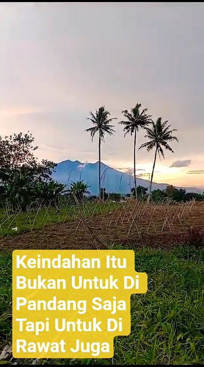 Di pandang saja tidak cukup, tapi harus juga di rawat bersama. #viral #shortviral #keindahan