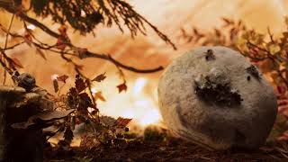 Nature (CICFF Official Selection)