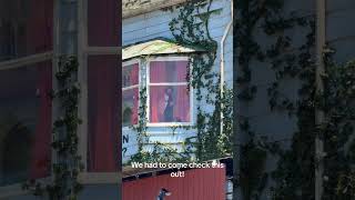 Guy living in a billboard #thelasthouse
