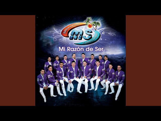 Banda Sinaloense MS De Sergio Lizárraga - Quisiera